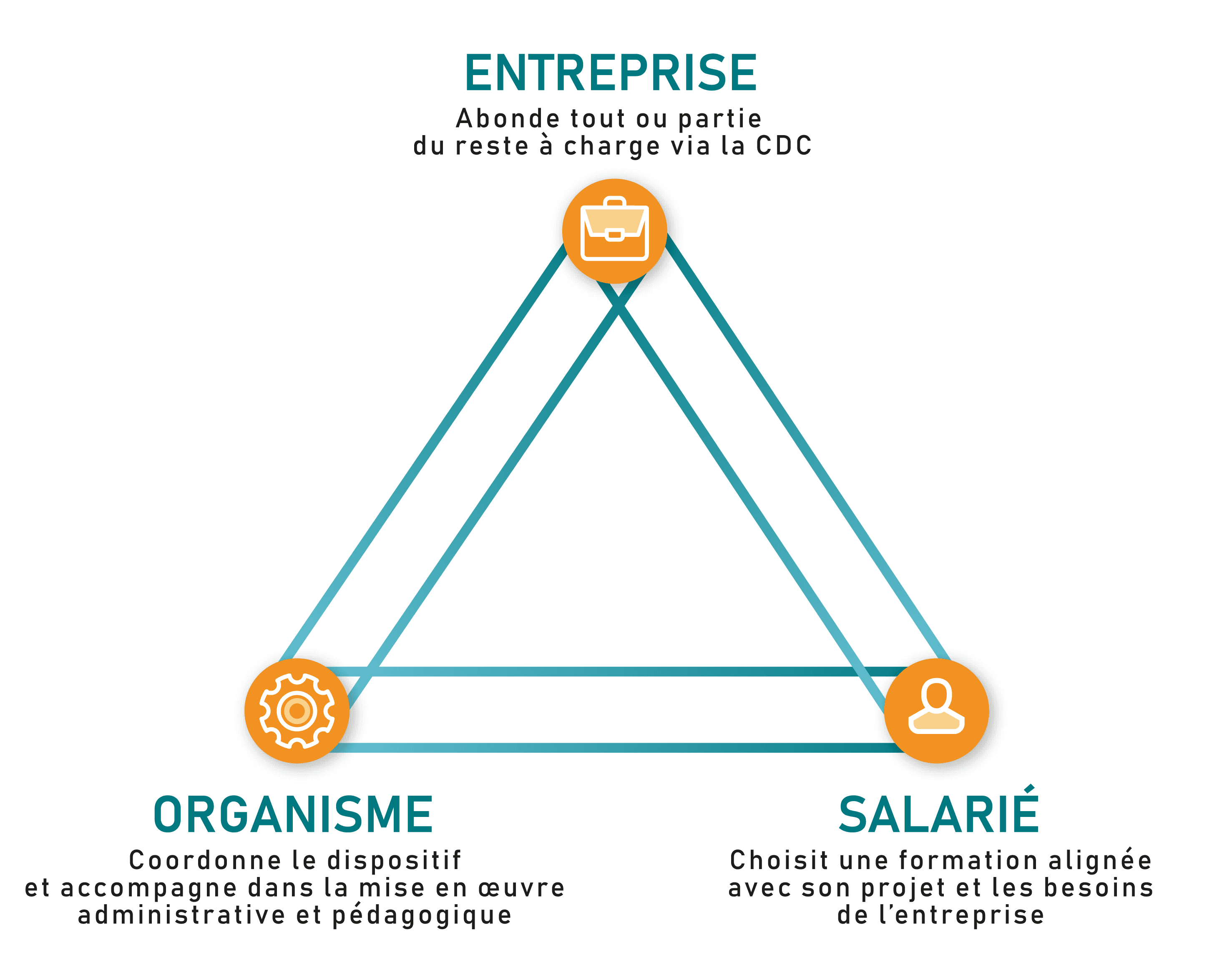 Triangle co-construit